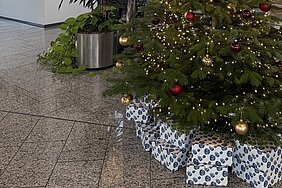 Weihnachtsbaum Weihnachtsbaum